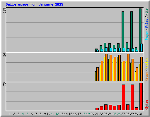 Daily usage for January 2025