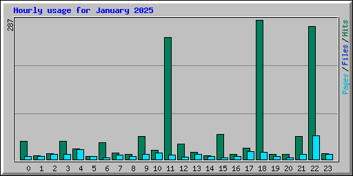 Hourly usage for January 2025