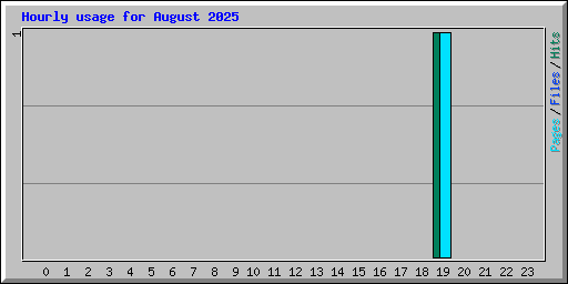 Hourly usage for August 2025
